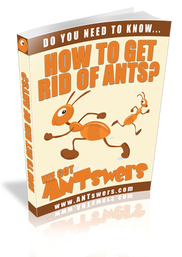 ants_cover_graphic_large.png