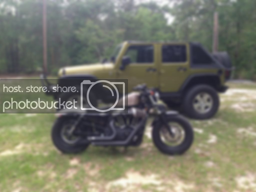 IMG_0365_zps10c130de.jpg
