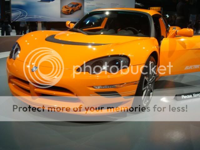 DSC02164.jpg