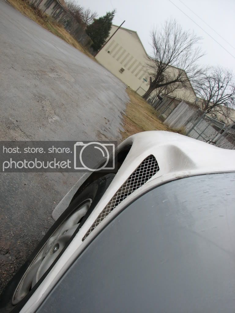 Picture045.jpg