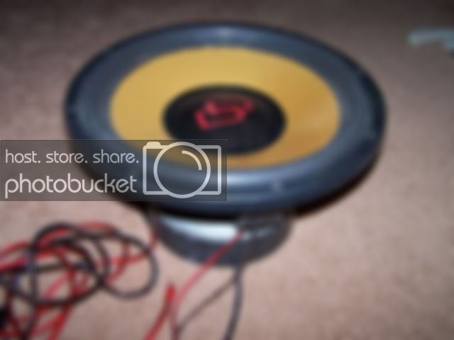 100_0875.jpg