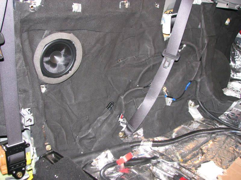 SciontC_rearcavity029.jpg