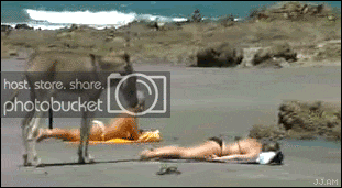 image-1.gif
