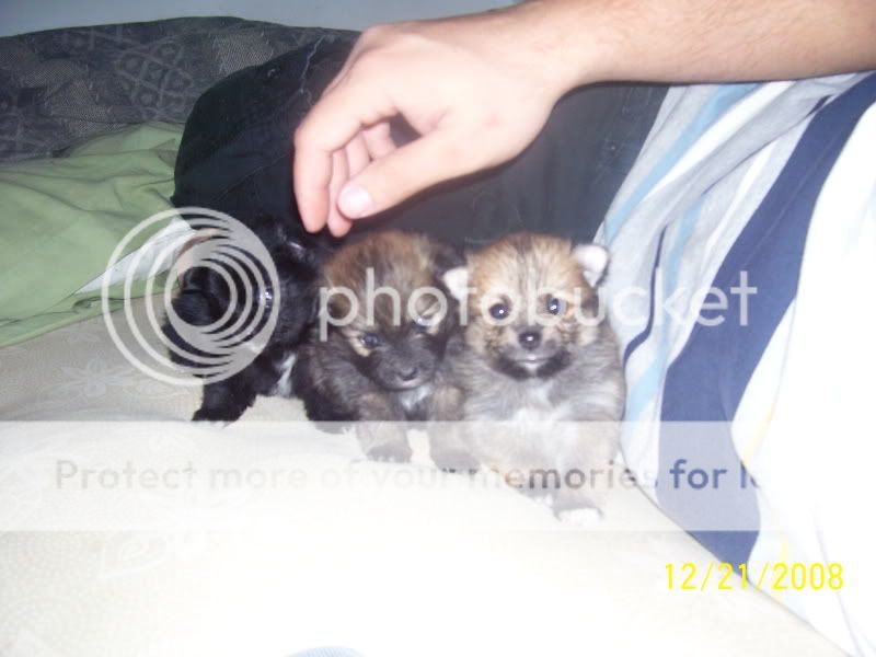 100_2555.jpg