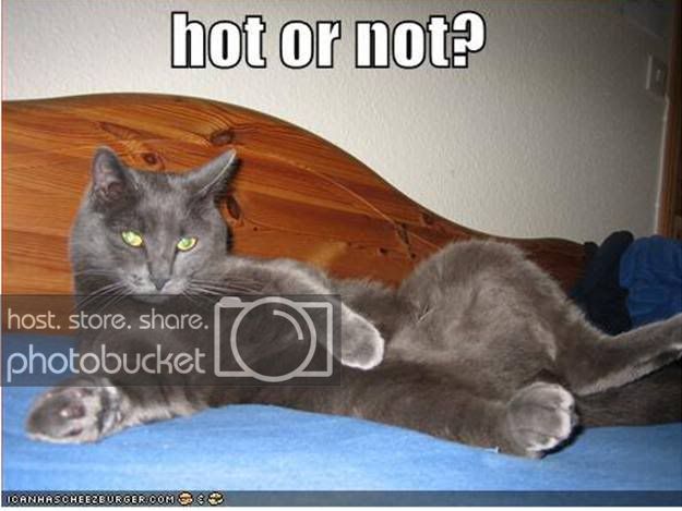 Hot_or_Not.jpg