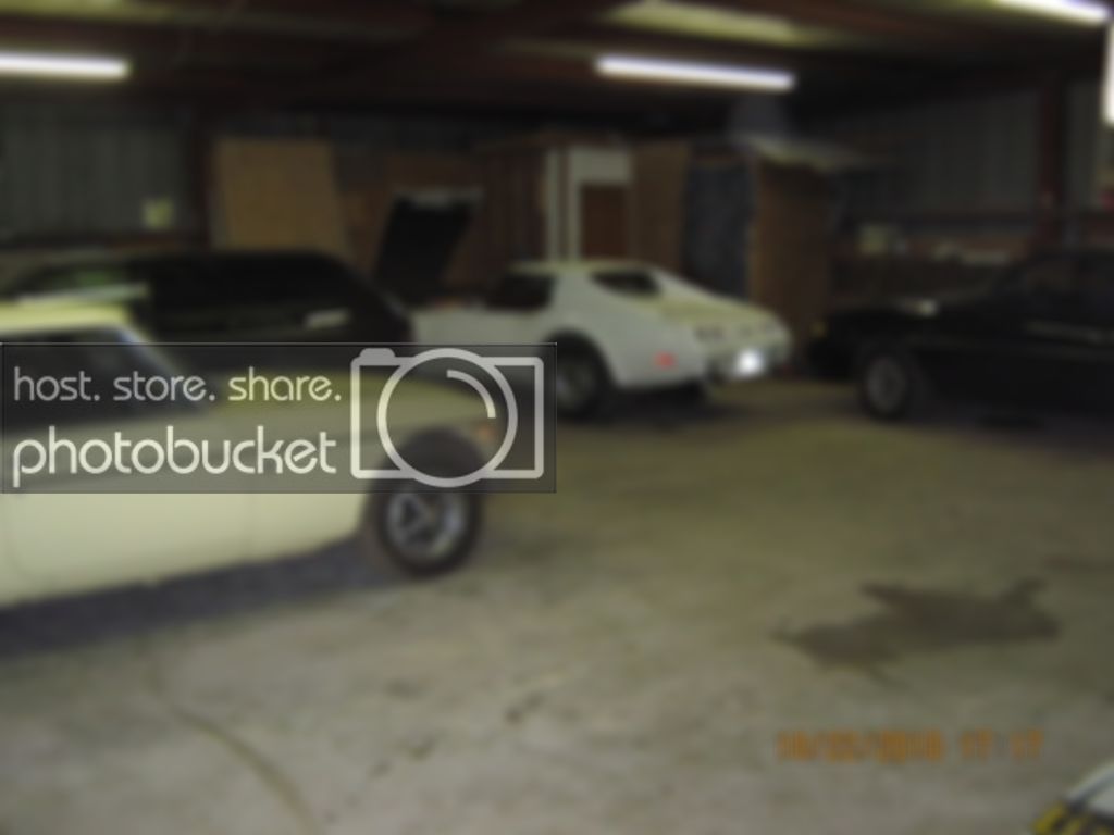 shop017.jpg