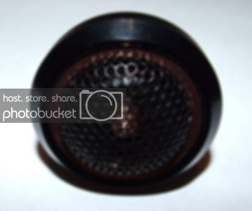 DSCF8181.jpg