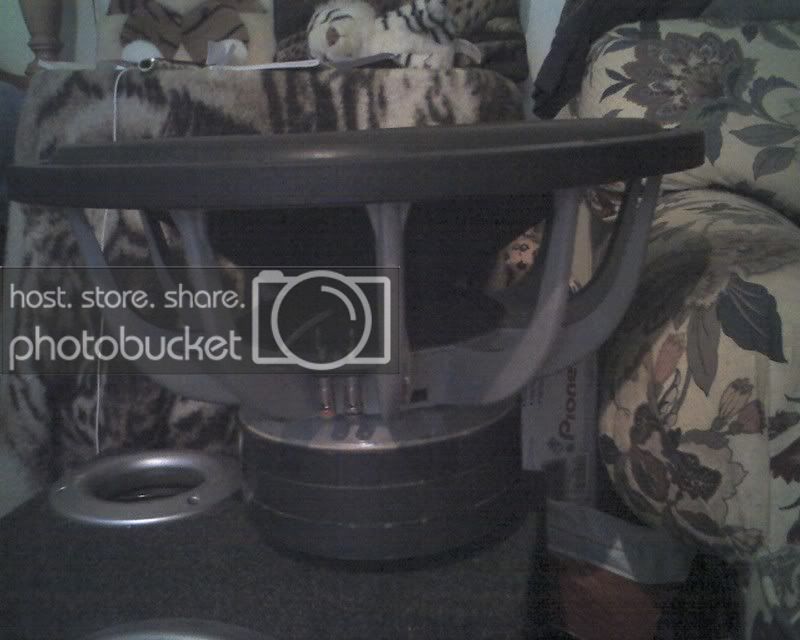 img019.jpg