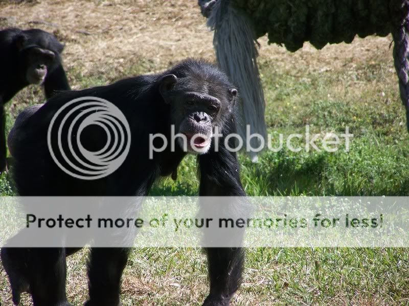 zoo052.jpg