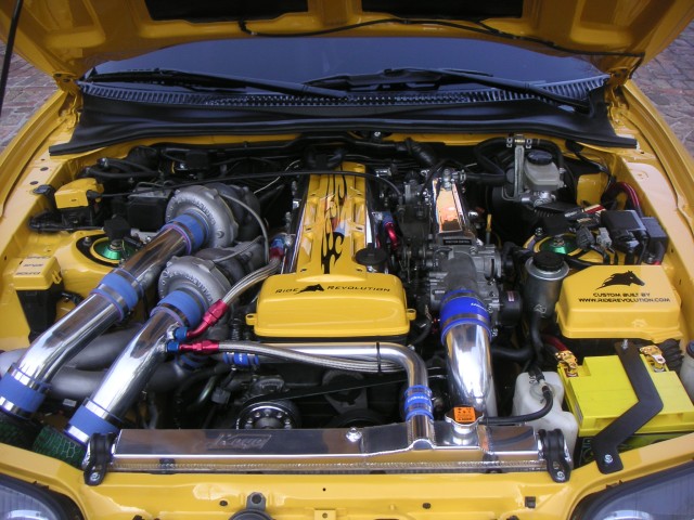 PICT0315.sized.jpg