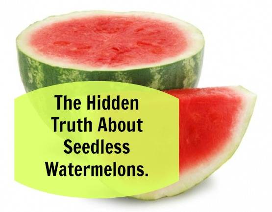 waterm.jpg
