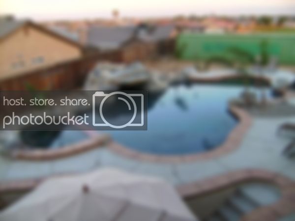 backyard.jpg