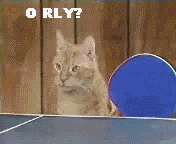 CatsPlayingTableTennis-ORly.gif