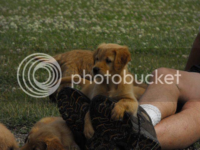 2008_0702ChewieandMe0012.jpg