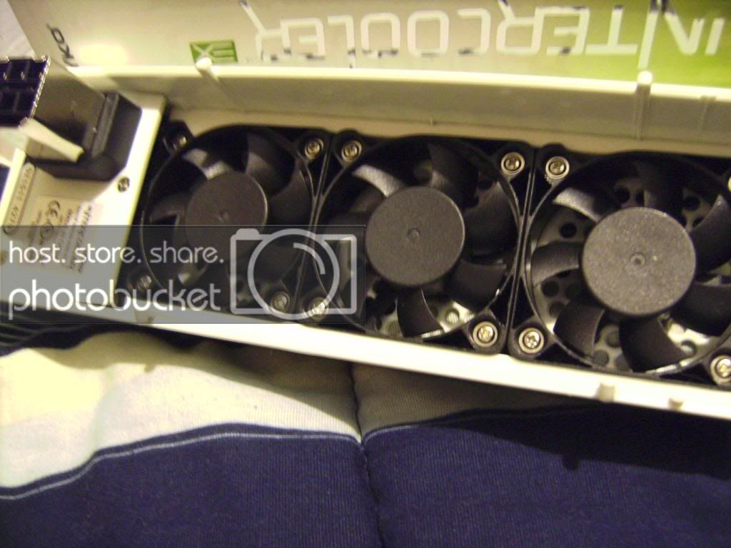SANY0434.jpg