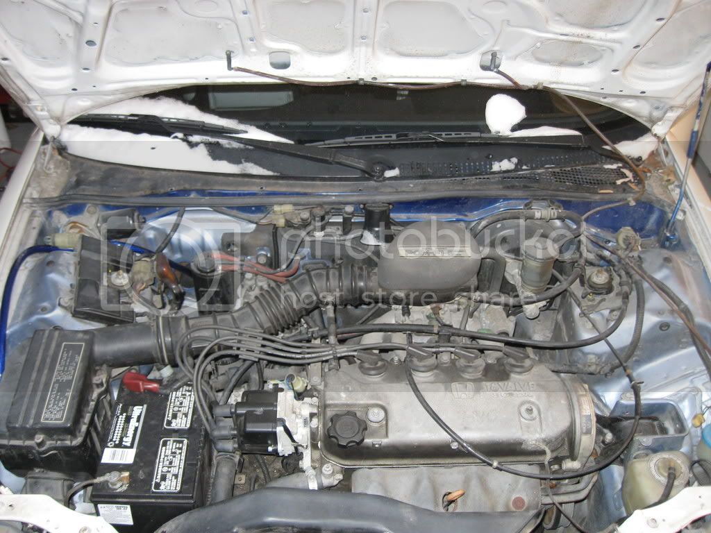 CRX002.jpg