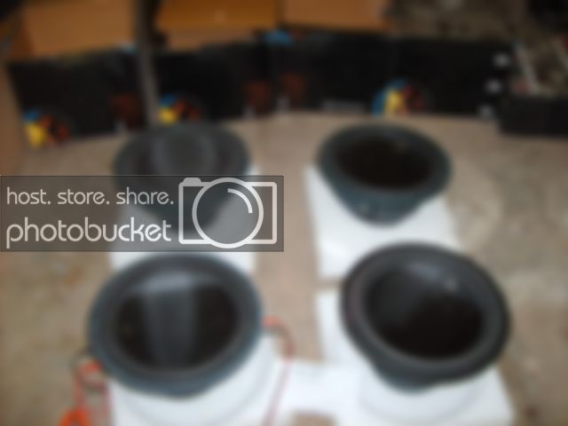 SD530983.jpg