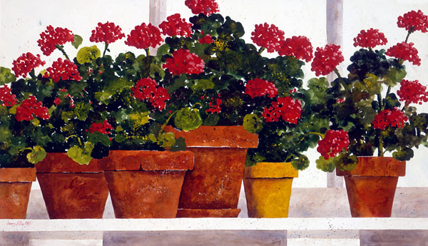 Winter%20Geraniums.jpg