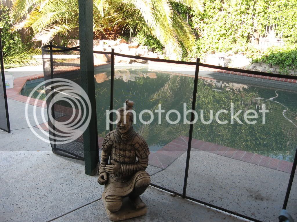 IMG_0616.jpg