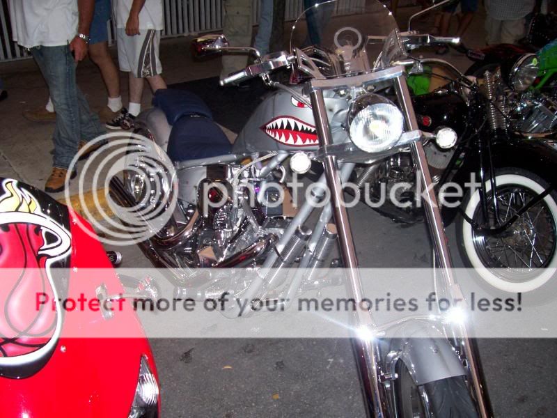 100_0736.jpg