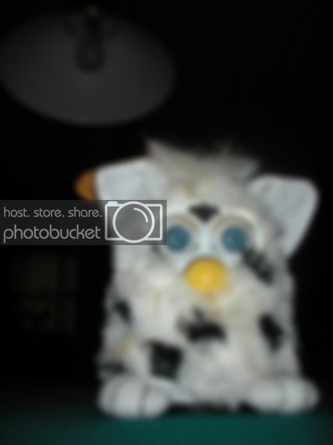 DSCN3646.jpg