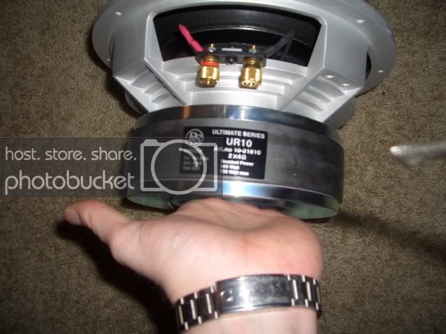dls2.jpg