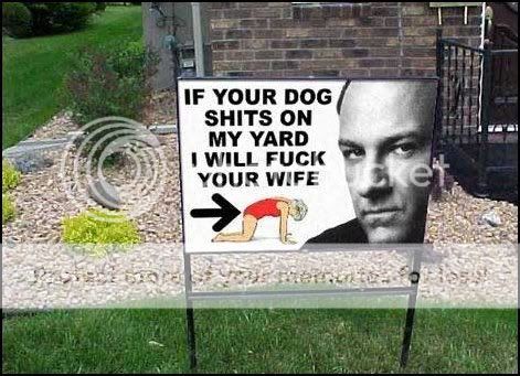 yard.jpg