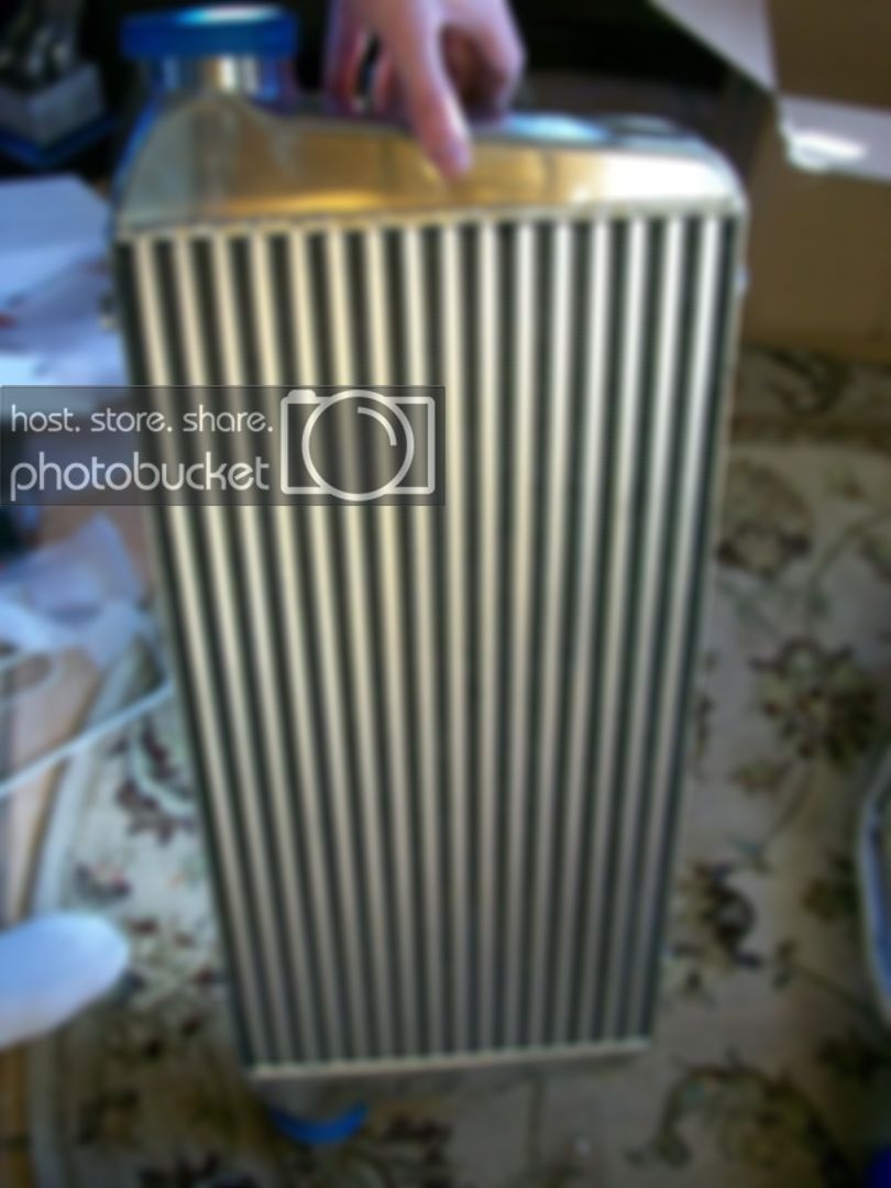 100_1907.jpg