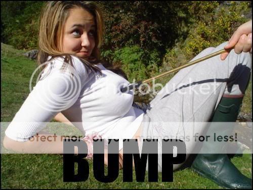 Bump2.jpg