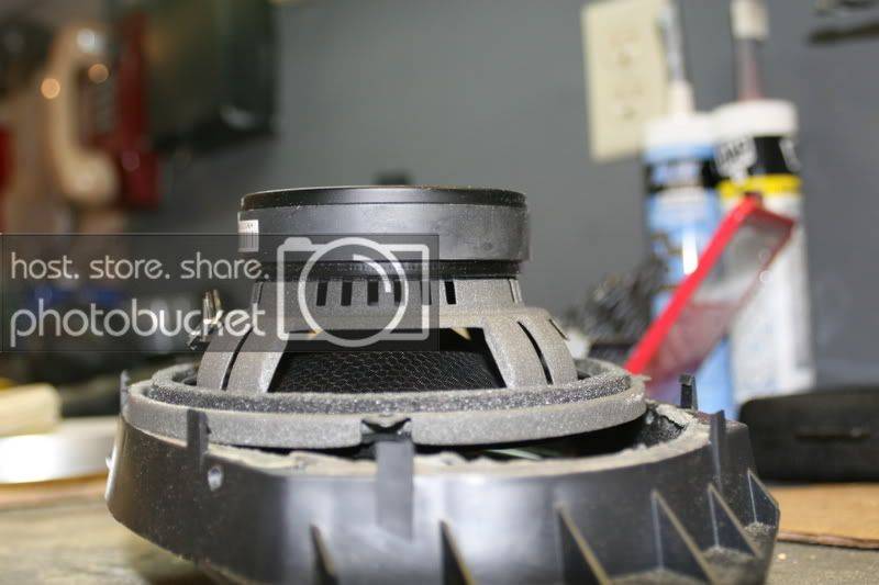 yayocomputerpictures058.jpg