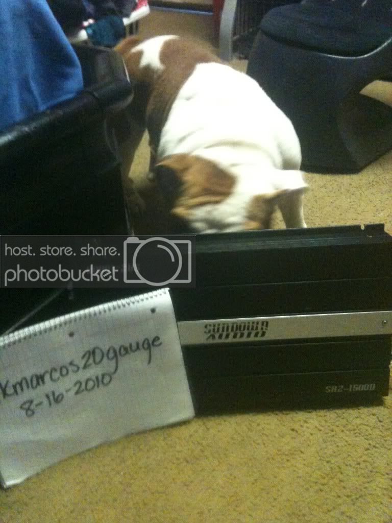 Picture145.jpg