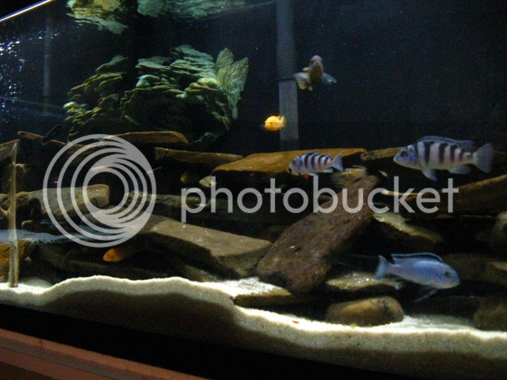 IMG_0861.jpg