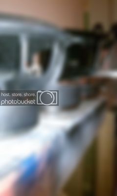 IMAG0109.jpg