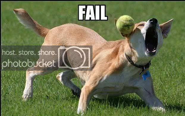 fail.jpg