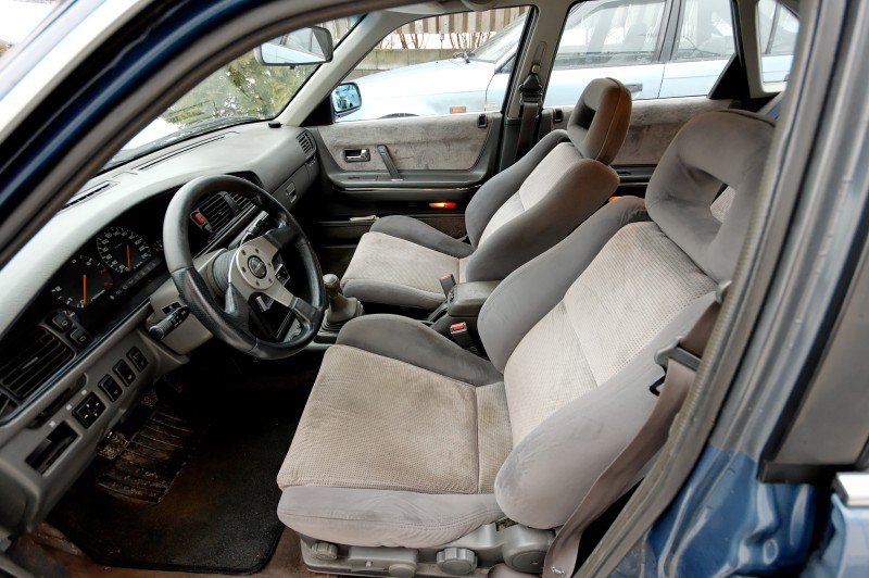 DSC_7321_DXO.sized.jpg