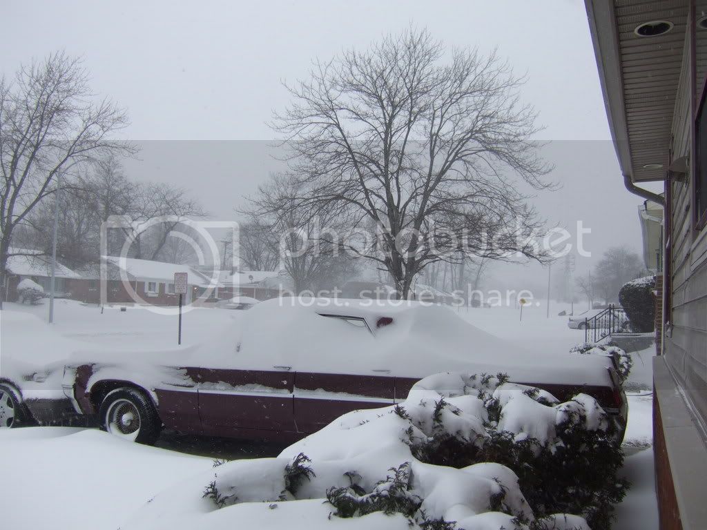 DSCF2131.jpg