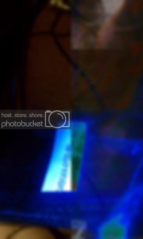 IMAG0204.jpg