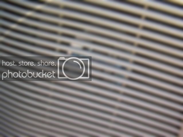 100_3969.jpg
