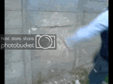 th1213026723256.gif