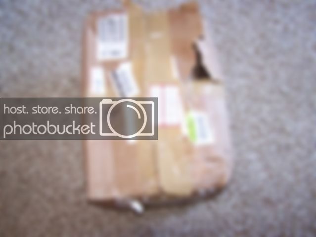 100_4252.jpg