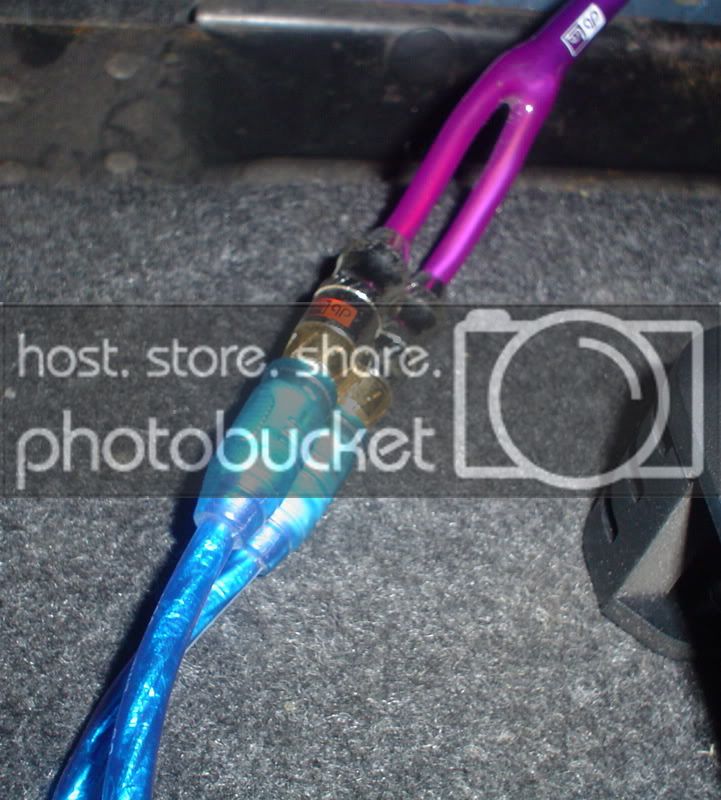 DSC03104.jpg