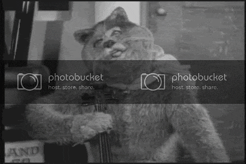 alko.gif