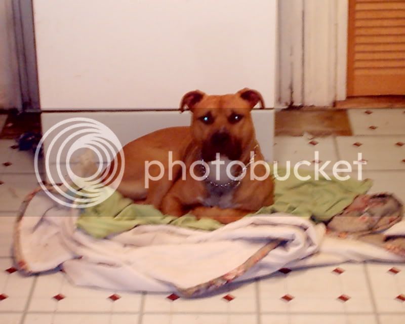 IMAG0001-1.jpg