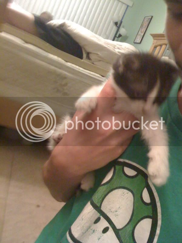 Picture103.jpg