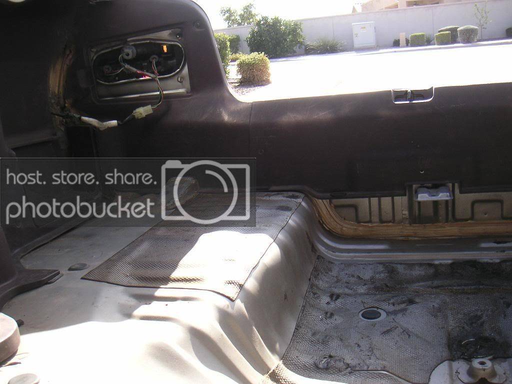 Trunk003a.jpg