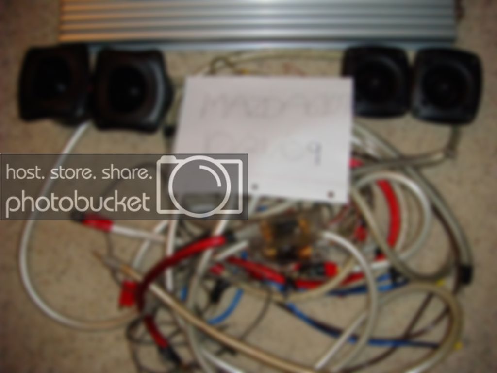 DSC01337.jpg