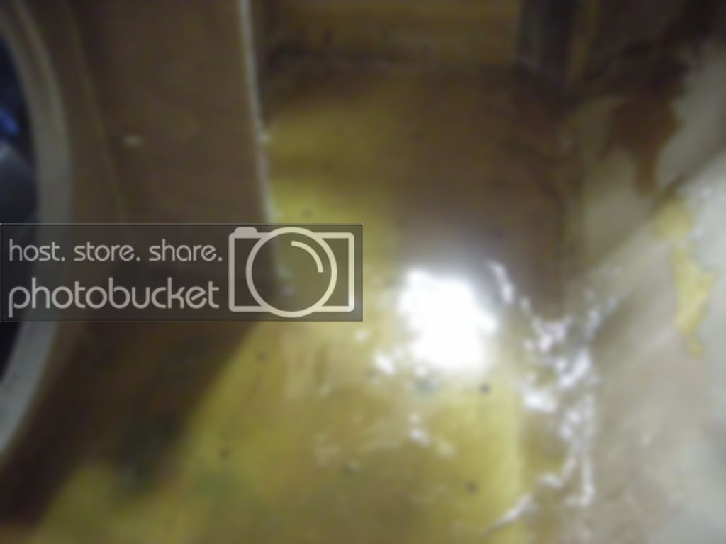 DSCN3221.jpg