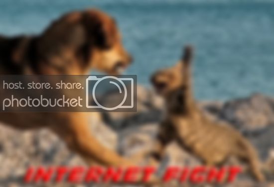internet_fight.jpg