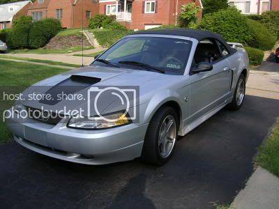 Mustang0125.jpg