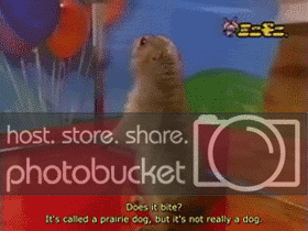 ohrlyto7tz2.gif